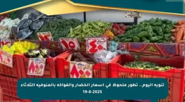 تنويه اليوم.. تطور ملحوظ في أسعار الخضار والفواكه بالمنوفية الثلاثاء 19-8-2025